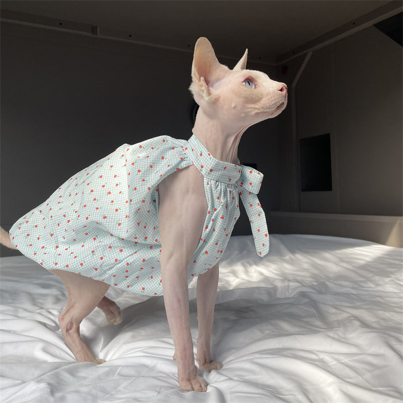 Cat Clothing in Summer Sweet L - مراجعة Summer Light Clothing وسعره