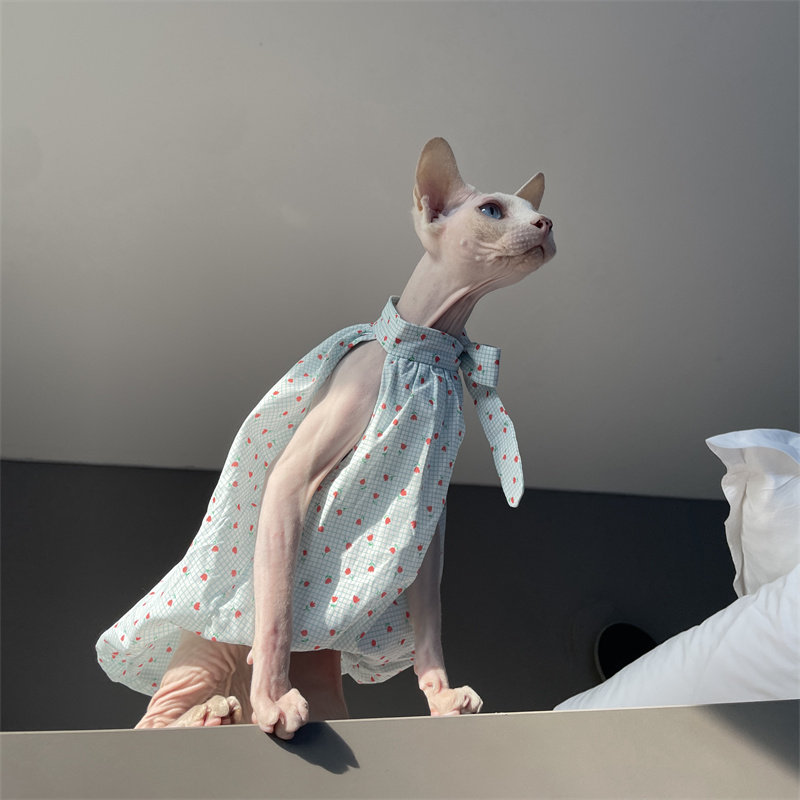 Cat Clothing in Summer Sweet L - مراجعة Summer Light Clothing وسعره