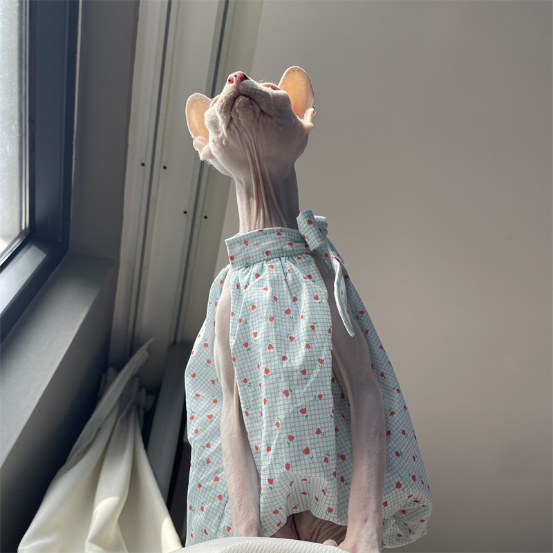 Cat Clothing in Summer Sweet L - مراجعة Summer Light Clothing وسعره