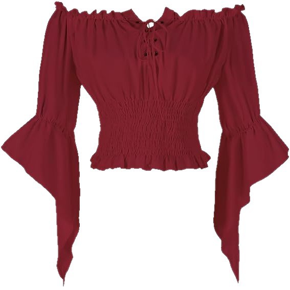 Renaissance Medieval Aristocra - مراجعة Off Shoulder Blouse وسعره