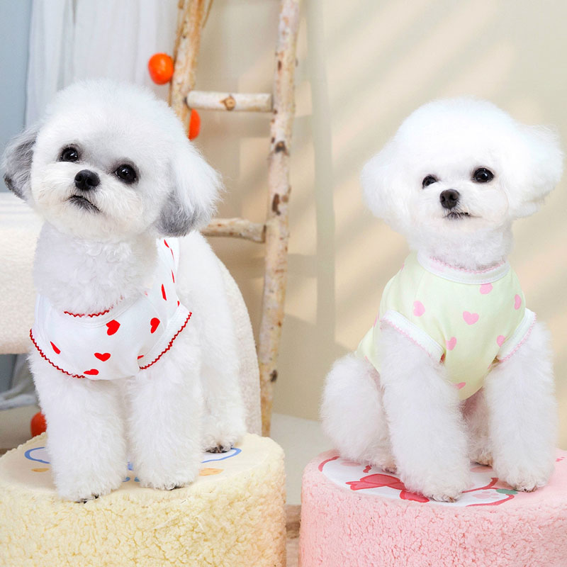 Yellow Red Dog Clothes Short S - مراجعة Xl Summer Clothing وسعره