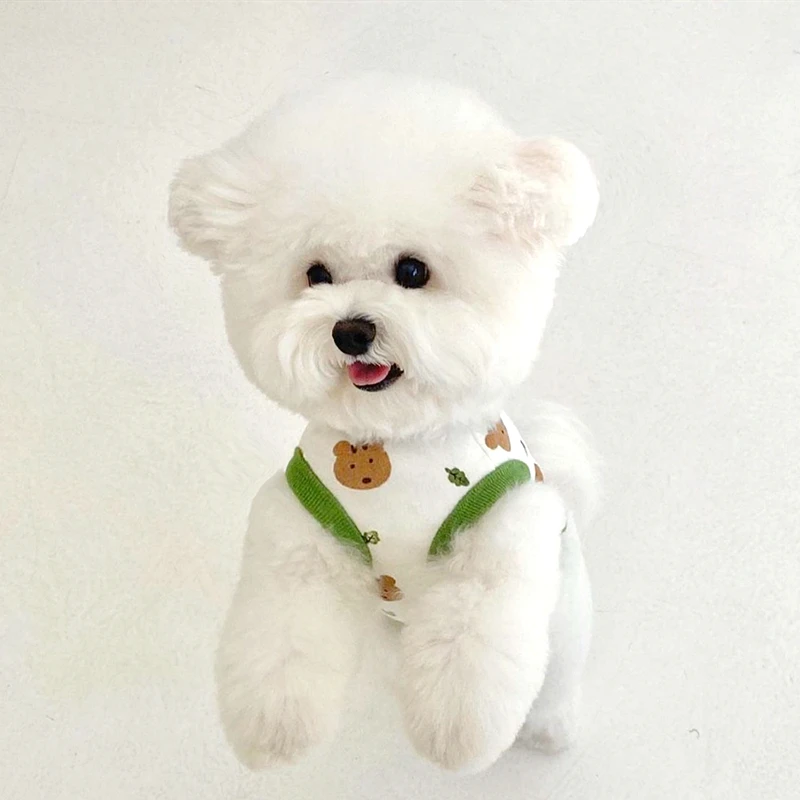 Pet Dog Clothes Puppy Summer V - مراجعة Xl Summer Clothing وسعره
