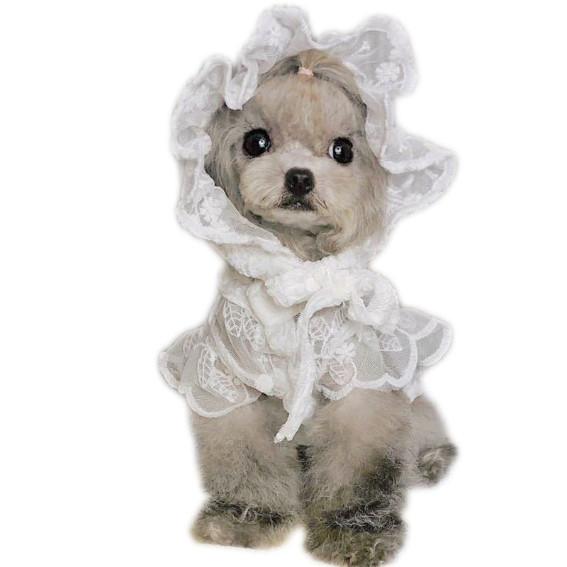 White Lace Princess Dog Weedin - مراجعة Xl Summer Clothing وسعره
